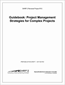 Guidebook: Project Management Strategies for Complex Projects