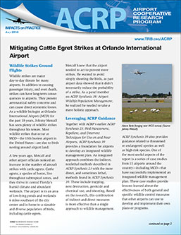 Impacts on Practice: Mitigating Cattle Egret Strikes at Orlando International Airport