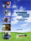 Hydrogen Production Roadmap: Technology Pathways to the Future